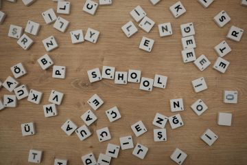 Lingue e culture straniere per l'era digitale: scuola, società e professioni